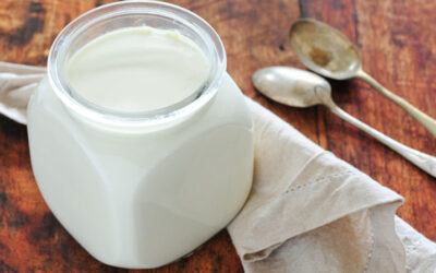 How to start a small yoghurt making business